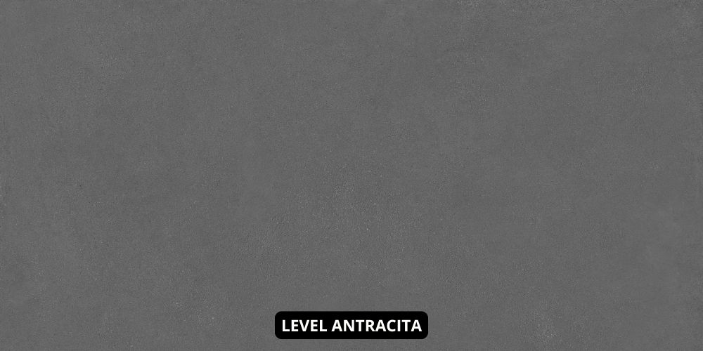 LEVEL